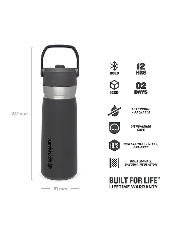 Stanley 22oz IceFlow Stainless Steel Water Bottle with Flip Straw, Charcoal