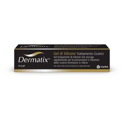 Dermatix Silicone Gel, 60g