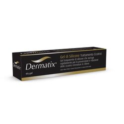 Dermatix Silicone Gel, 60g