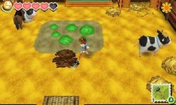 Story of Seasons for Nintendo 3DS by Nintendo