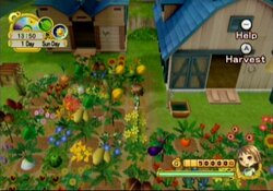 Harvest Moon: Tree of Tranquility for Nintendo Wii By Natsume