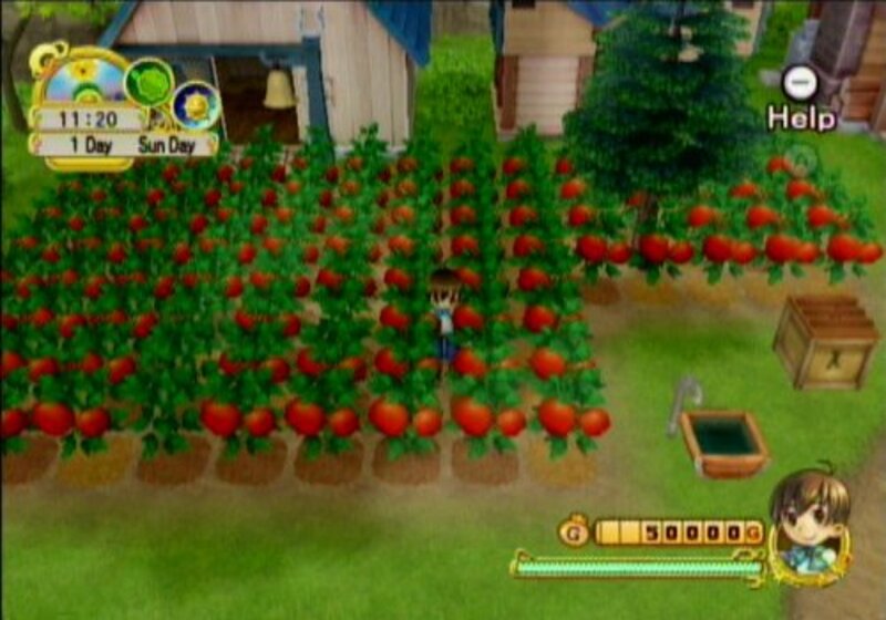 Harvest Moon: Tree of Tranquility for Nintendo Wii By Natsume