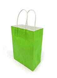 Beautiful Gift Bag for Any Occasion, 12 Pieces, 21 x 11 x 27cm, Green