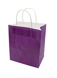 Beautiful Gift Bag for Any Occasion, 12 Pieces, 21 x 11 x 27cm, Purple