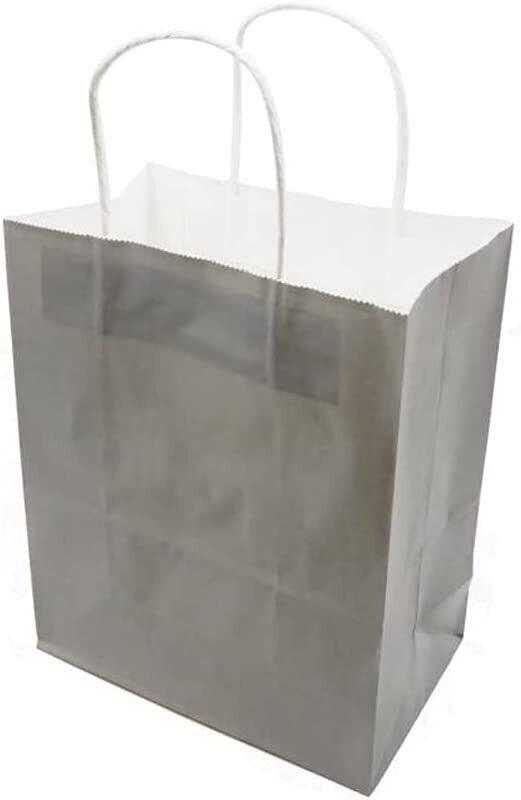 

Generic Paper Gift Bag Set, 21 x 11 x 27 cm, 12 Pieces, Silver