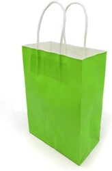 Beautiful Gift Bag for Any Occasion, 12 Pieces, 27 x 21 x 11cm, Green
