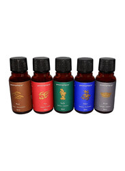 Goodsphere The 5 Elements Collection Wood, Fire, Water, Metal & Earth Aroma Essence, 5 x 30ml, Multicolour