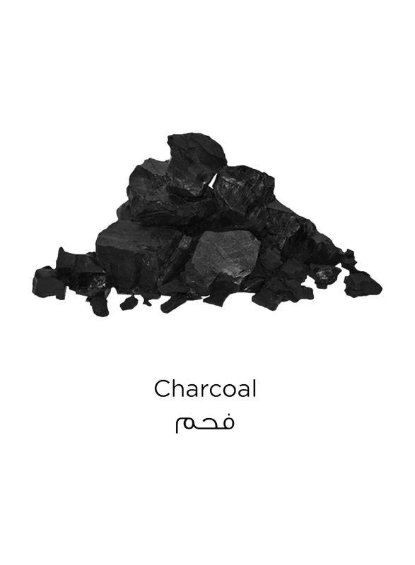 L'Oreal Paris Pure Clay Charcoal Face Mask, 50ml