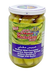 Sevan Wild Cucumber Pickled In Glass Jar, 600g