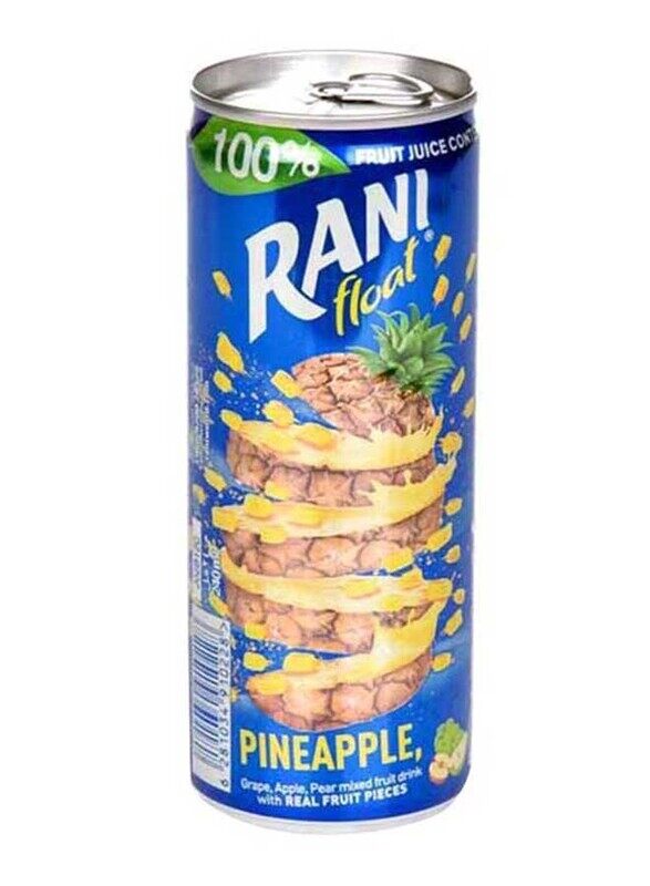 

Rani Float Pineapple No Added Sugar Fruit Drink, 240ml