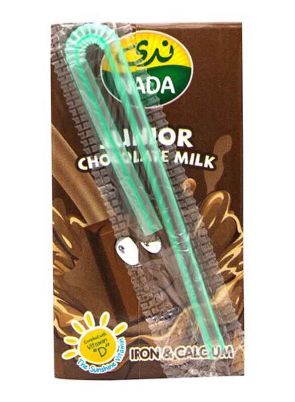 Nada Junior Chocolate Milk, 125ml