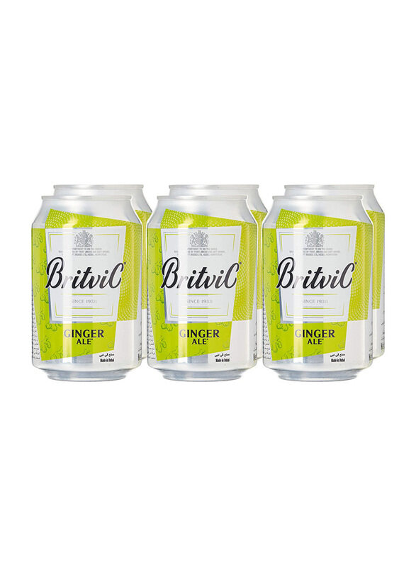 

Britvic Ginger Ale Soda, 6 Cans x 300ml