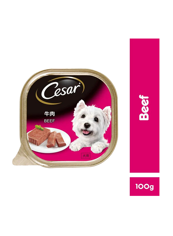 Cesar Beef Wet Dog Food, 100 grams