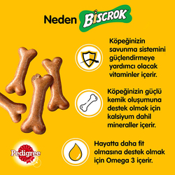 Pedigree Multi Mix Biscrok Dry Dog Food, 200g