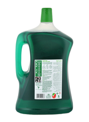 Dettol Power Pine Antibacterial Floor Cleaner, 3 Liters