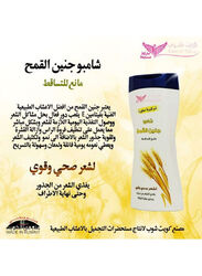 Kuwait Shop Wheat Germ Full Hair Care Set, 4 Pieces
