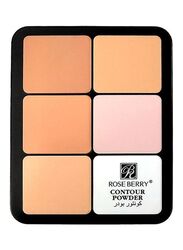 Rose Berry 12 Colour Contour Powder, Multicolour