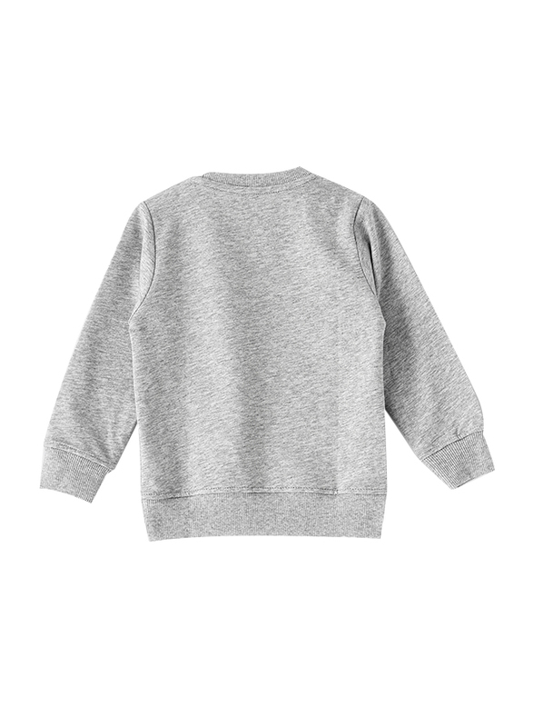 Lamar Kids Cotton Long Sleeve Sweatshirt for Boys, 4-5 Years, Grey