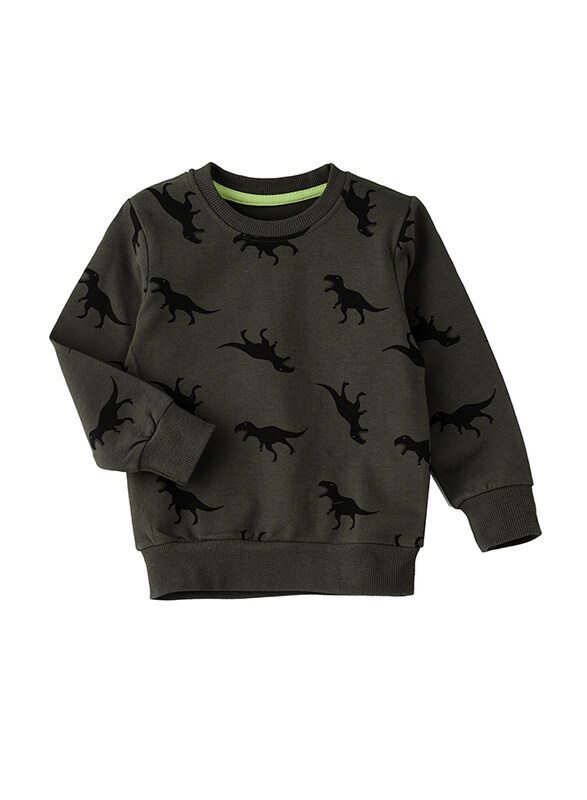 

Lamar Kids Cotton Long Sleeve Sweatshirt for Boys, 1-2 Years, Khaki