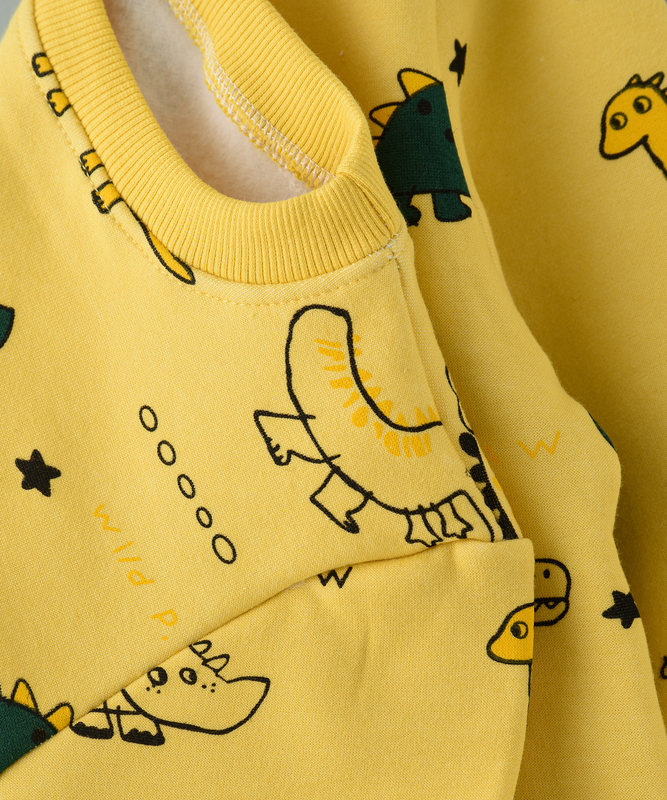 Lamar Kids Cotton Fleece inside Long Sleeve Sweatshirt for Babies, 2-3 Years, Yellow