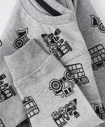 Lamar Kids Cotton Long Sleeve Sweatshirt for Boys, 2-3 Years, Grey
