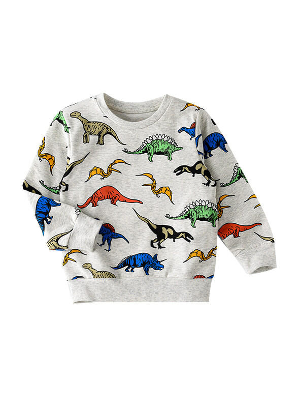 

Lamar Kids Cotton Long Sleeve Sweatshirt for Boys, 2-3 Years, Grey