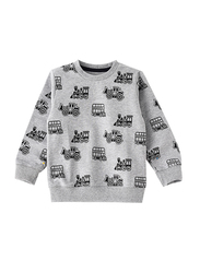 Lamar Kids Cotton Long Sleeve Sweatshirt for Boys, 2-3 Years, Grey