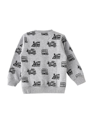 Lamar Kids Cotton Long Sleeve Sweatshirt for Boys, 2-3 Years, Grey