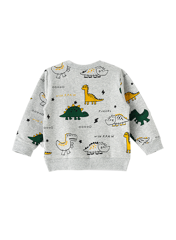 Lamar Kids Cotton Long Sleeve Sweatshirt for Babies, 2-3 Years, Grey
