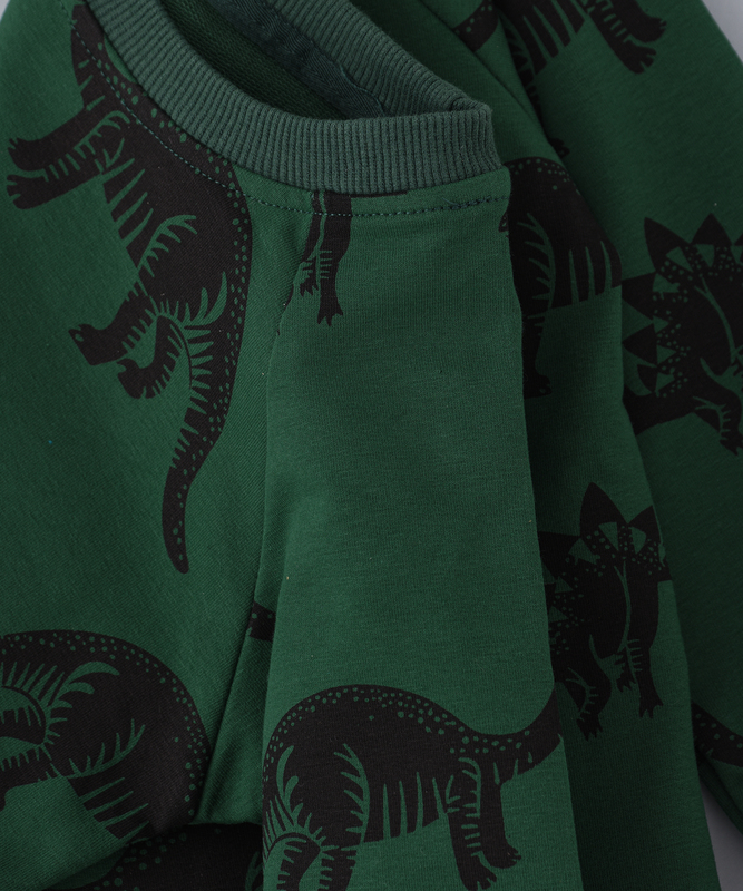 Lamar Kids Cotton Long Sleeve Sweatshirt for Boys, 1-2 Years, Green