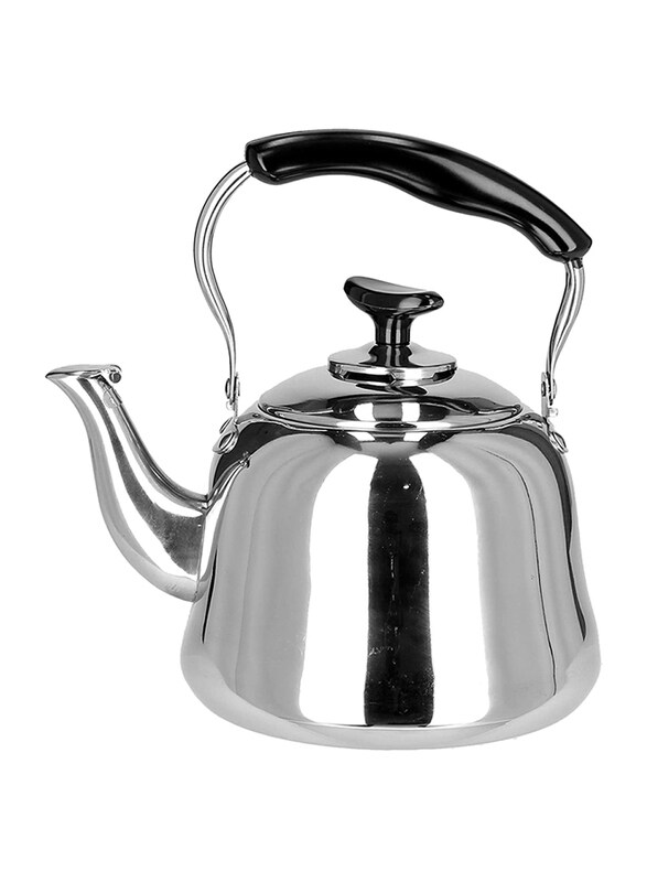 

Venice Italy 1 Ltr Stainless Steel Teapot with Handle, Silver