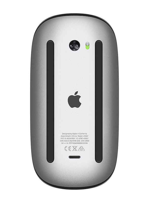 Apple Wireless Optical Magic Mouse, Black