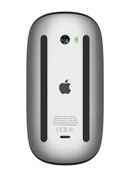 Apple Wireless Optical Magic Mouse, Black