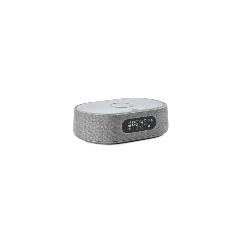 

Harman Kardon Citation Oasis FM, Gray