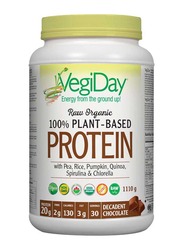 VegiDay Raw Organic Plant-Based Protein Powder, 1110gm, Decadent Chocolate