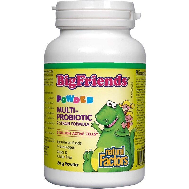 

Natural Factors Big Friends Multi Probiotic Powder, 3 Billion Active Cells, 60 Gm