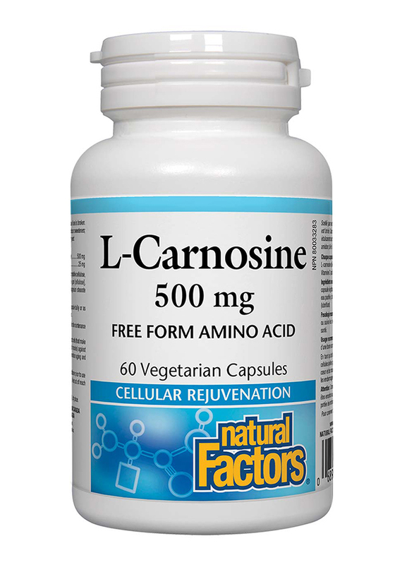 Natural Factors L-carnosine Veggie Capsules, 500mg, 60 Capsules