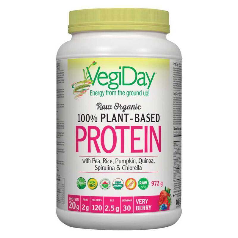 

Vegi Day VegiDay Raw Organic Plant-Based Protein, Very Berry, 30