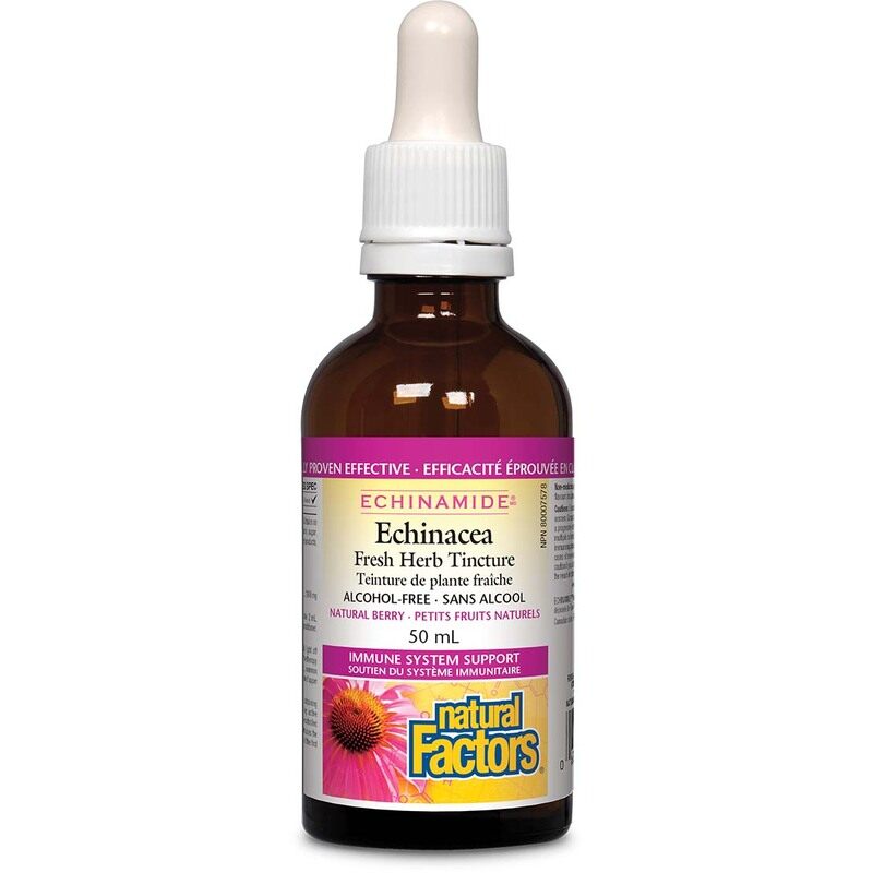 

Natural Factors Anti-cold Alcohol Free Herb Tincture Natural, 50 ML
