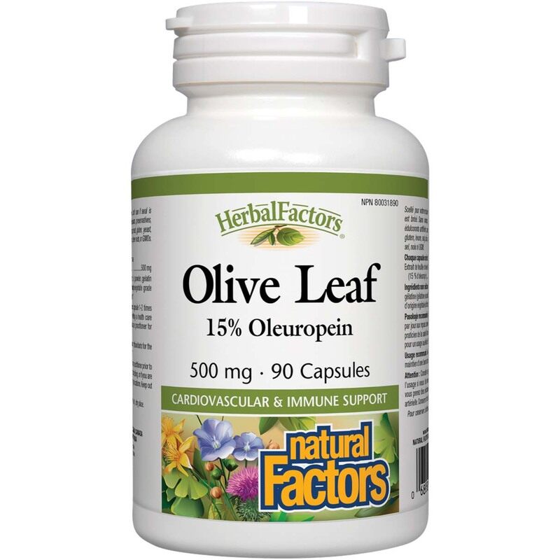 

Natural Factors Olive Leaf Capsules, 500mg, 90 Capsules