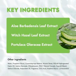 Raraskin Cleansing Wipes - Aloe