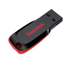 Sandisk 128 GB Cruzer Blade USB Flash Drive, Black