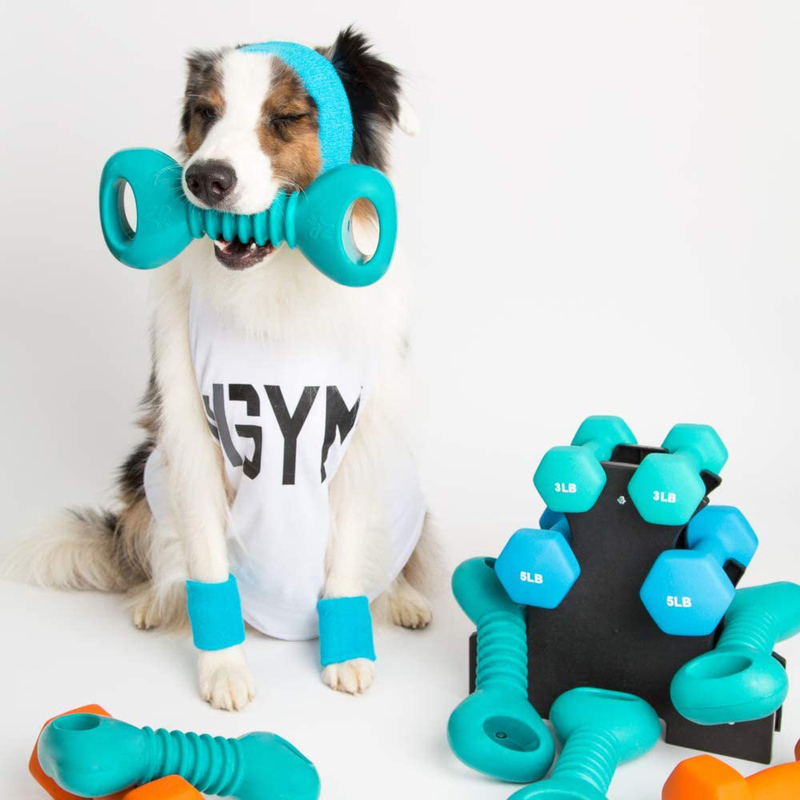 Zippy Paws Dumbbell Shape Chew & Fetch Dog Toy, Blue