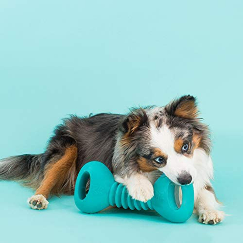 Zippy Paws Dumbbell Shape Chew & Fetch Dog Toy, Blue