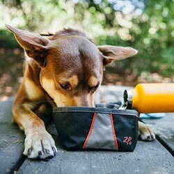Zippy Paws Waterproof Adventure Dog Bowl, Black/Grey