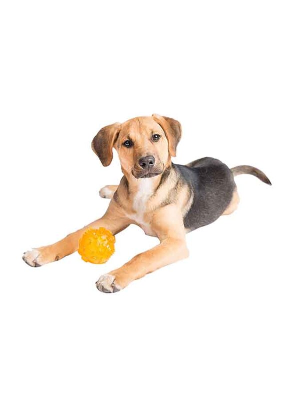 Zippy Paws Zippytuff Squeaker Ball Dog Toy, Large, Yellow