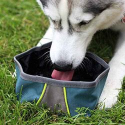 Zippy Paws Waterproof Adventure Dog Bowl, Beige/Red
