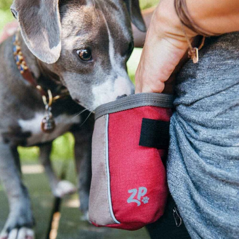 Zippy Paws Waterproof Adventure Dog Treat Bag, Beige/Red