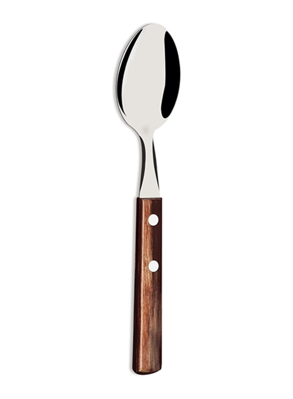 

Tramontina 1-Piece Stainless Steel Tea Spoon with Treated Polywood Handle, 21107490, Brown