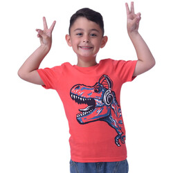 Boys T-Shirts  (2-8 Years): Coral colour, Outfits Sets (100% Cotton)